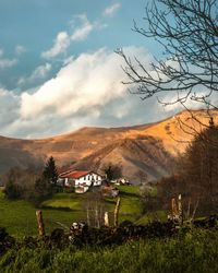 Scenic view of field and houses against sky