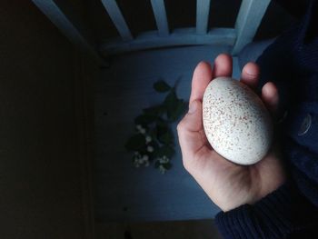 Close-up of hand holding egg