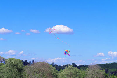 Low angle view of kite flying against blue sky