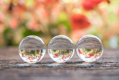 Close-up of glasses on table