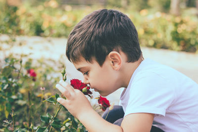 Portrait of boy holding flower against blurred background