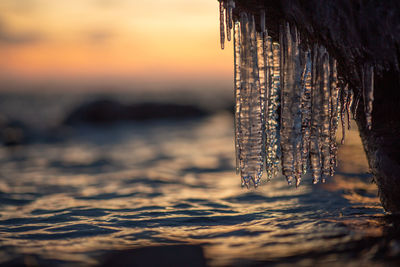 Close-up of icicles in sea against sky during sunset