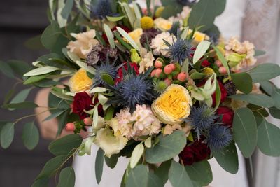 Close-up of flowers on plant