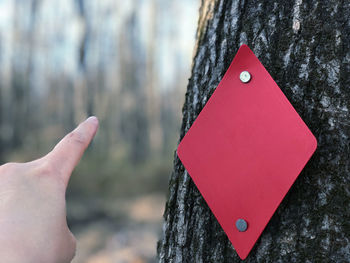 Close-up of hand against tree trunk with red hiking mark