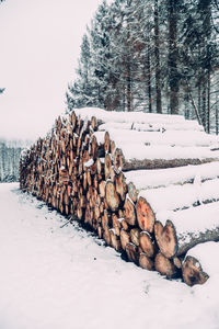 Stack of logs on snow covered land