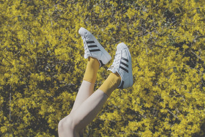 Low section of woman holding yellow plants