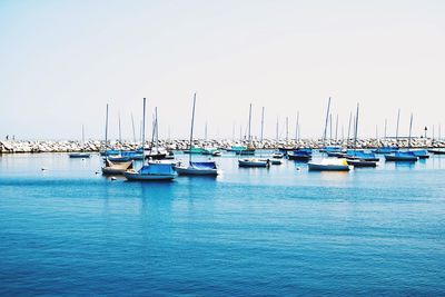 Sailboats moored on harbor against clear blue sky