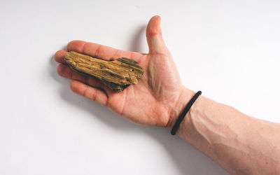 Close-up of human hand against white background