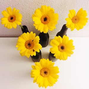 Close-up of yellow sunflower blooming outdoors