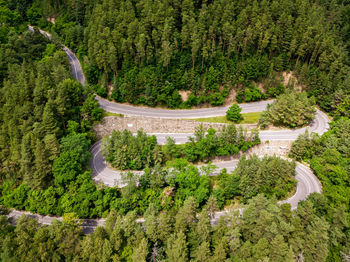 High angle view of road amidst trees in forest