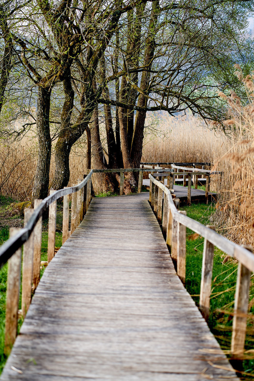 VIEW OF FOOTBRIDGE ALONG TREES IN PARK