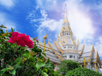 Low angle view of flowering plant against building
