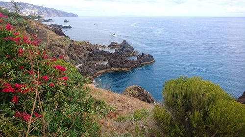 Scenic view of sea against sky