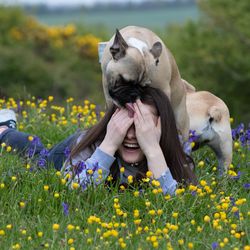 Woman playing with dogs on field