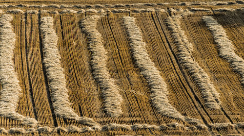 Full frame shot of tire tracks