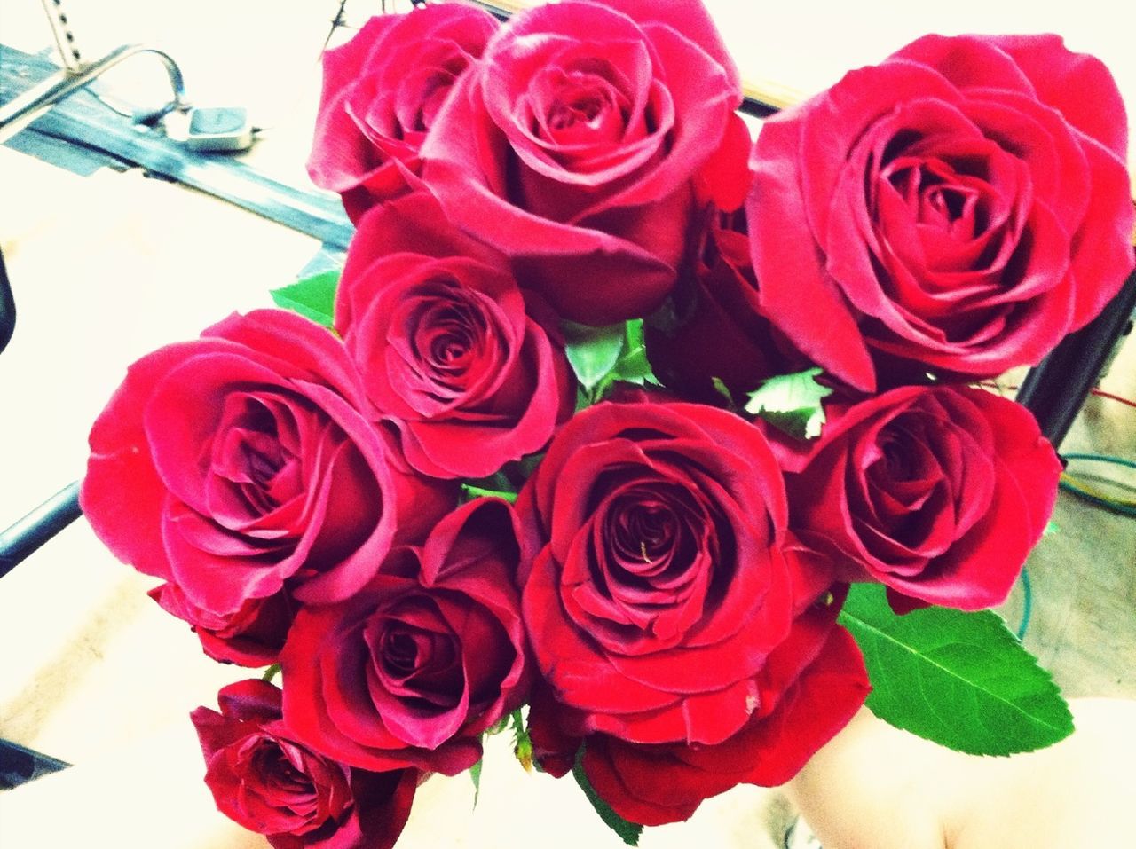 flower, petal, freshness, rose - flower, fragility, flower head, rose, beauty in nature, red, close-up, indoors, pink color, nature, growth, blooming, bouquet, bunch of flowers, plant, blossom, focus on foreground