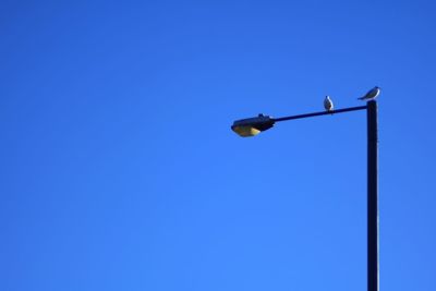 Low angle view of street light against clear blue sky