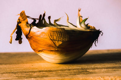 Close-up of dried fruits on table