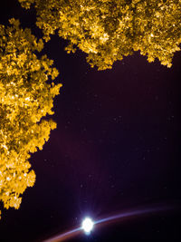 Low angle view of silhouette trees against sky at night