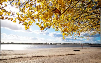 Scenic view of beach against sky during autumn