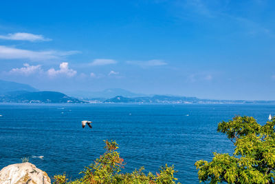 View from rocca of manerba with a bird