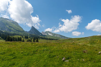 Scenic view of field against sky