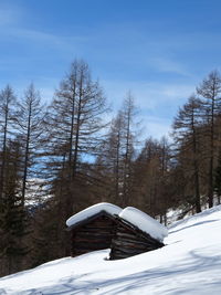 Bare trees on snow covered field against sky