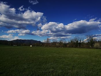 Scenic view of field against sky