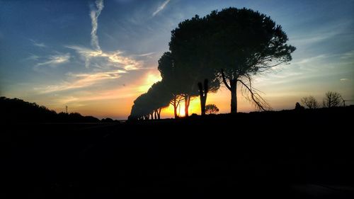 Silhouette trees on field against sky during sunset