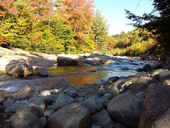 Rocks in river