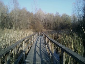 Footbridge over river