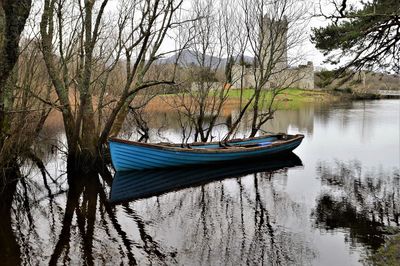 Scenic view of lake in forest