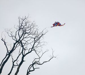 Low angle view of person jumping against clear sky