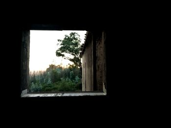 Trees seen through window of abandoned building