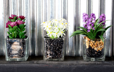 Flowers in vase on table