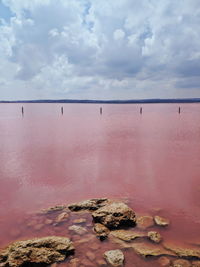 Scenic view of pink salt lake against a blue sky
