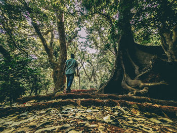 Rear view of man standing by tree in forest