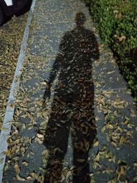 Low section of people walking on wet street