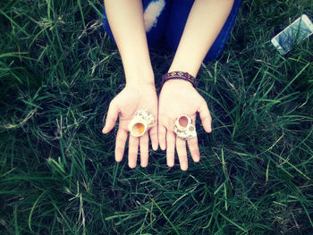 Close-up of grassy field