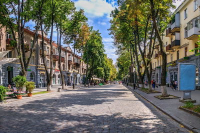 Street amidst trees and buildings against sky