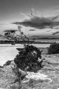 Scenic view of sea against cloudy sky