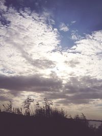 Silhouette of trees against cloudy sky