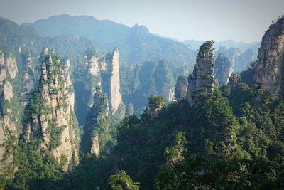 Panoramic view of trees and mountains against sky