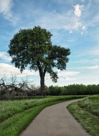 Road amidst field against sky