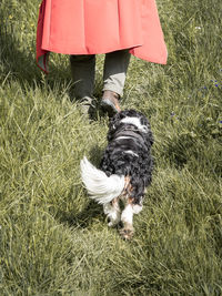 Low section of person with dog on field