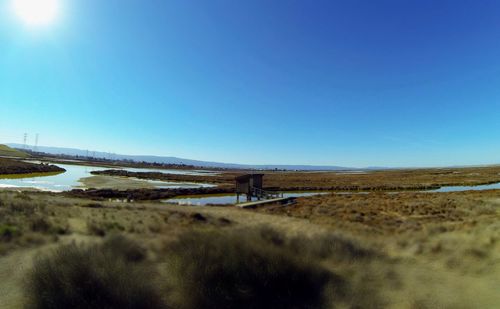 Scenic view of grassy field against blue sky