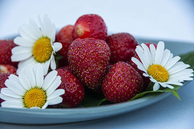 Close-up of strawberries in plate