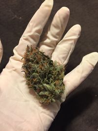 High angle view of person holding food