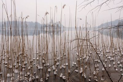 Panoramic view of lake against sky