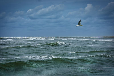 Seagull flying over sea against sky